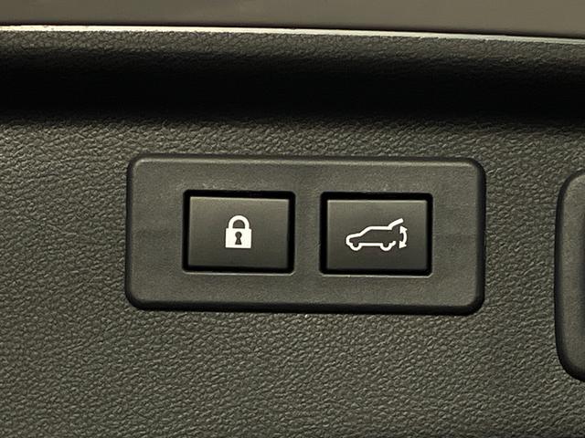 フォレスター アドバンス　４ＷＤ　アイサイトセーフティプラス　パワーバックドア　純正メーカーナビ　地デジＴＶ　Ｂ／Ｓ／Ｆカメラ　ブラウン革シート　パワーシート　全席シートヒーター　ＬＥＤヘッドランプ　　純正ドラレコ　ＥＴＣ（5枚目）