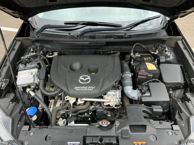 �G���W�����[�����ǍD�ł��I����]�ɂăG���W�����[���̃N���[�j���O���\�I