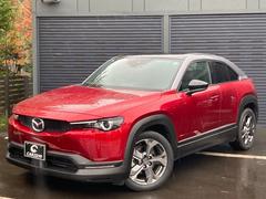 ͣءݣ ١졼ɡܽ졡ʥӡϥǥԣ֡ѥΥޥ˥ 0302944A30251015W002 2