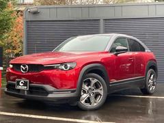 ͣءݣ ١졼ɡܽ졡ʥӡϥǥԣ֡ѥΥޥ˥ 0302944A30251015W002 4