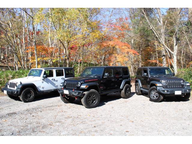 ジープ・ラングラーアンリミテッド ポーラーエディション 4WD 150台限定車 黒革シート専用ステッチ入り IPFクリスタルヘッドライト 純正背面ハードカバー BFグッドリッチ MKWホイール パナソニックナビTVバックカメラ Bluetooth ETC(35枚目)