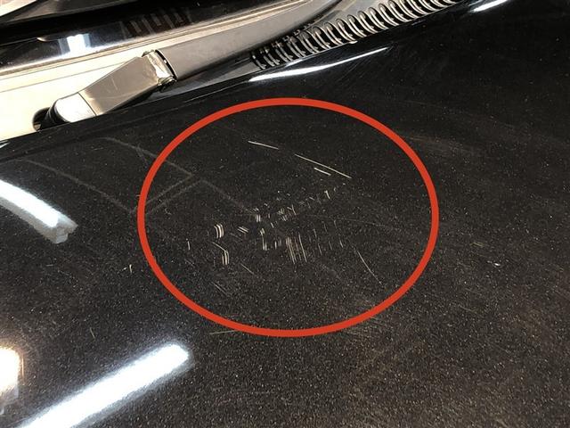 �����̏�����I���Ԃł��m�F���������B