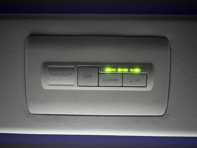 デリカＤ：５ ローデスト　Ｇ　パワーパッケージ　本州仕入　４ＷＤ　ローデストエアロ　パワースライドドア　ＳＤナビ　ＤＶＤ　フルセグ　ブルートゥース　Ｂカメラ　アルパインフリップダウンモニター　ルーフイルミネーション　ＨＩＤヘッドライト　ＬＥＤフォグ（53枚目）