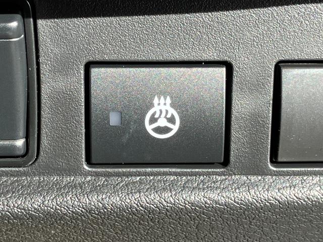 デリカミニ G プレミアム 届出済み未使用車 衝突被害軽減ブレーキ 両側電動スライドドア ステアリングヒーター シートヒーター 全方位カメラ アダプティブクルーズコントロール LEDヘッドライト LEDフォグランプ 4WD(29枚目)