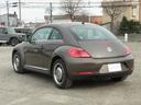 VOLKSWAGEN THE BEETLE