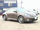 VOLKSWAGEN THE BEETLE