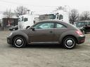 VOLKSWAGEN THE BEETLE