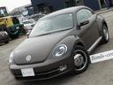 VOLKSWAGEN THE BEETLE