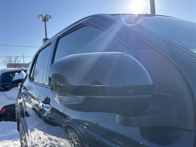 ライズ Ｇ　４ＷＤ　メモリーナビ　ミュージックプレイヤー接続可　バックカメラ　衝突被害軽減システム　ＥＴＣ　ドラレコ　ＬＥＤヘッドランプ　アイドリングストップ（23枚目）