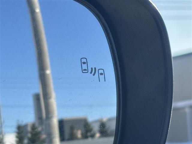 ライズ Ｚ　４ＷＤ　フルセグ　ミュージックプレイヤー接続可　バックカメラ　衝突被害軽減システム　ＥＴＣ　ドラレコ　ＬＥＤヘッドランプ　ワンオーナー　記録簿　アイドリングストップ（11枚目）