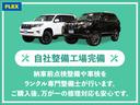 ３．０　ＳＳＲ－Ｘ　リミテッド　ディーゼルターボ　４ＷＤ　オールペイントベージュ　ＵＳ仕様　４Ｒｕｎｎｅｒ仕様　ディーゼルターボ　ケンウッドＳＤナビ　バックカメラ　ＥＴＣ　シートカバー　ドライブレコーダー　ＢＦグッドリッチタイヤ　ＤＥＡＮ１６ＡＷ(23枚目)