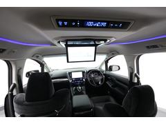 ŹʤǤϤ˭٤ʺ߸ˤϡͤΤ뤴˾˾ˤޤͥå̤Ǻܼξ¿ޤΤǡ쥤ǥåߥ˥Хõϥޤǵڤˤ̲ 2