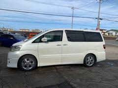 եɣ ӡߥƥåɥǥ奢֣Υڥ 0303311A30251128W001 3