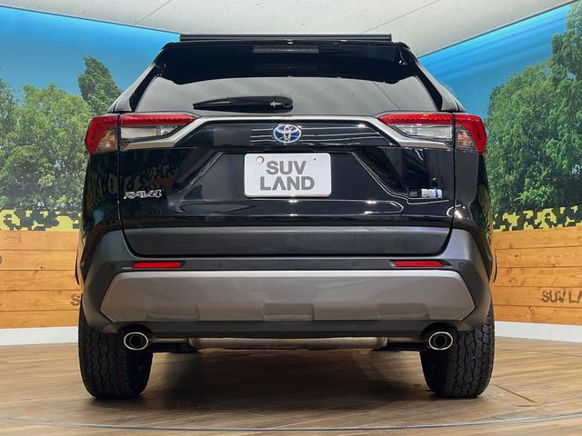 ＲＡＶ４ ハイブリッドＧ　４ＷＤ　純正９インチナビ　レーダークルーズコントロール　ステアリングヒーター　パワーバックドア　前席シートヒーター　オートハイビーム　ルーフキャリア　パワーシート　シートメモリー　バックカメラ（17枚目）