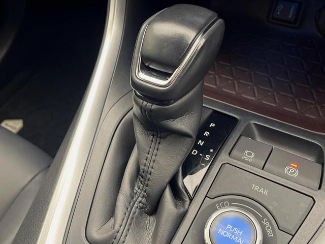 ＲＡＶ４ ハイブリッドＧ　４ＷＤ　純正９インチナビ　レーダークルーズコントロール　ステアリングヒーター　パワーバックドア　前席シートヒーター　オートハイビーム　ルーフキャリア　パワーシート　シートメモリー　バックカメラ（24枚目）