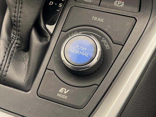 ＲＡＶ４ ハイブリッドＧ　４ＷＤ　純正９インチナビ　レーダークルーズコントロール　ステアリングヒーター　パワーバックドア　前席シートヒーター　オートハイビーム　ルーフキャリア　パワーシート　シートメモリー　バックカメラ（25枚目）