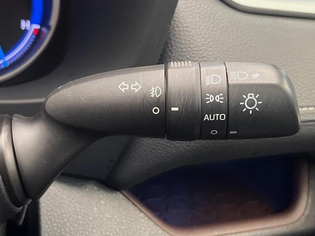 ＲＡＶ４ ハイブリッドＧ　４ＷＤ　純正９インチナビ　レーダークルーズコントロール　ステアリングヒーター　パワーバックドア　前席シートヒーター　オートハイビーム　ルーフキャリア　パワーシート　シートメモリー　バックカメラ（34枚目）