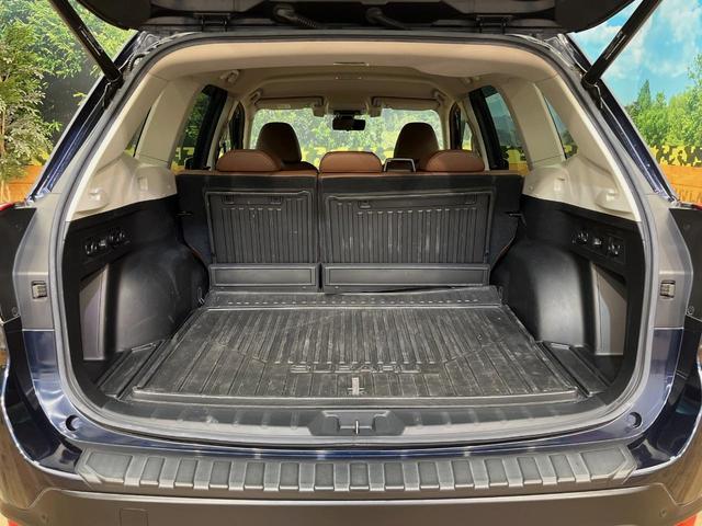 フォレスター アドバンス　４ＷＤ　純正８型ＳＤナビ　アイサイト　デジタルインナーミラー　バックカメラ　フロントサイドカメラ　パワーバックドア　ＥＴＣ　レーダクルーズコントロール　ルーフレール　全席シートヒーター　パワーシート（12枚目）