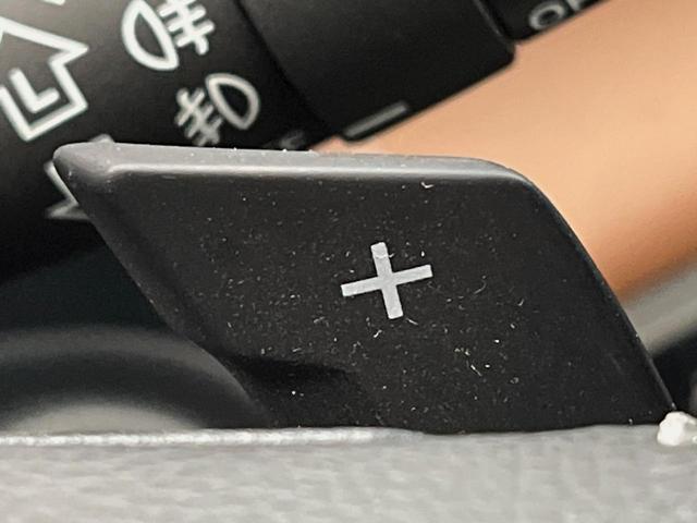 フォレスター アドバンス　４ＷＤ　純正８型ＳＤナビ　アイサイト　デジタルインナーミラー　バックカメラ　フロントサイドカメラ　パワーバックドア　ＥＴＣ　レーダクルーズコントロール　ルーフレール　全席シートヒーター　パワーシート（48枚目）