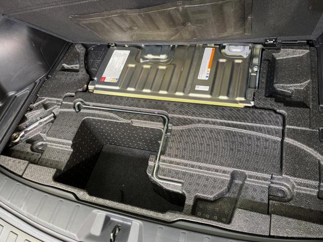 フォレスター アドバンス　４ＷＤ　純正８型ＳＤナビ　アイサイト　デジタルインナーミラー　バックカメラ　フロントサイドカメラ　パワーバックドア　ＥＴＣ　レーダクルーズコントロール　ルーフレール　全席シートヒーター　パワーシート（65枚目）
