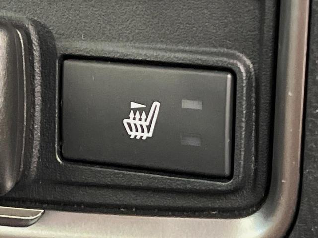 フォレスター アドバンス 4WD 純正8型SDナビ 後席モニター 茶革シート 全席シートヒーター デジタルインナーミラー パワーバックドア フロントカメラ サイドカメラ バックカメラ メモリー機能付きパワーシート ETC(30枚目)