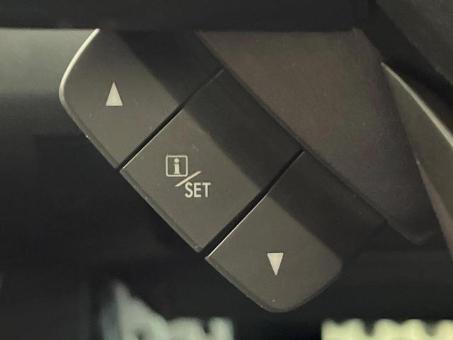 フォレスター アドバンス 4WD 純正8型SDナビ 後席モニター 茶革シート 全席シートヒーター デジタルインナーミラー パワーバックドア フロントカメラ サイドカメラ バックカメラ メモリー機能付きパワーシート ETC(45枚目)