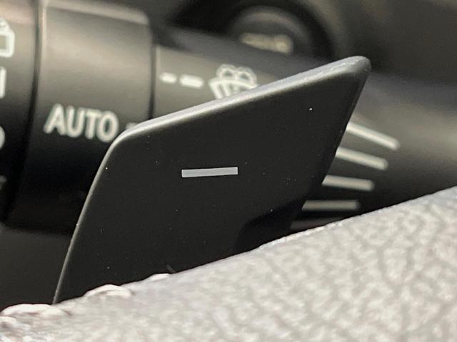フォレスター アドバンス 4WD 純正8型SDナビ 後席モニター 茶革シート 全席シートヒーター デジタルインナーミラー パワーバックドア フロントカメラ サイドカメラ バックカメラ メモリー機能付きパワーシート ETC(48枚目)