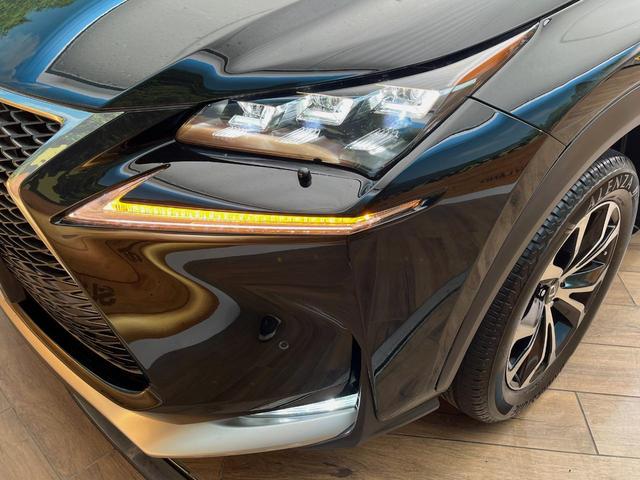 ＮＸ ＮＸ３００ｈ　Ｆスポーツ　４ＷＤ　禁煙車　メーカーナビ　サンルーフ　寒冷地仕様　パワーバックドア　全周囲カメラ　三眼ＬＥＤヘッドライト　プリクラッシュセーフティ　ブラインドスポットモニター　クリアランスソナー　ＥＴＣ（12枚目）