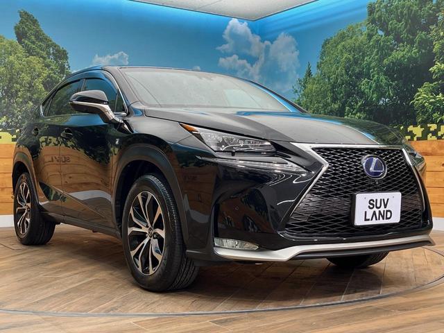 ＮＸ ＮＸ３００ｈ　Ｆスポーツ　４ＷＤ　禁煙車　メーカーナビ　サンルーフ　寒冷地仕様　パワーバックドア　全周囲カメラ　三眼ＬＥＤヘッドライト　プリクラッシュセーフティ　ブラインドスポットモニター　クリアランスソナー　ＥＴＣ（16枚目）