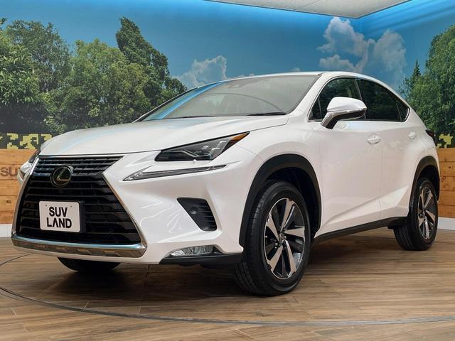 NX NX300 Iパッケージ 4WD サンルーフ 10.3型純正ナビ レーダークルーズ バックカメラ シートヒーター 電動リアゲート パワーシート 3眼LEDヘッドライト ステアリングヒーター 純正オプション18インチアルミ(72枚目)