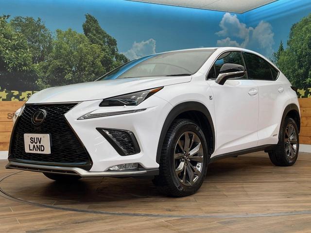 NX NX300h Fスポーツ 4WD 10.3インチメーカーナビ 全周囲カメラ 革シート シートエアコン 三眼LEDヘッド ブラインドスポットモニター メモリーシート パワーバックドア セーフティシステムプラス(75枚目)