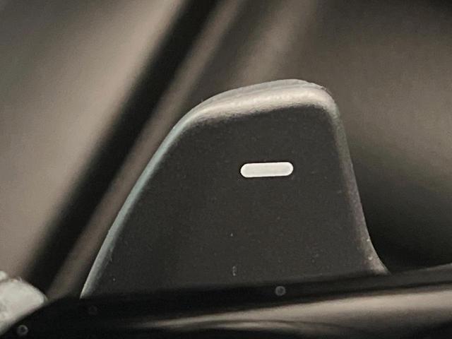 ステップワゴン スパーダ 4WD SDナビ 両側電動スライドドア シートヒーター リヤオートエアコン 衝突被害軽減装置 レーダークルーズコントロール ブラインドスポットモニター パワーバックドア バックカメラ(33枚目)