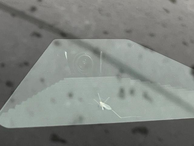 ステップワゴン スパーダ 4WD SDナビ 両側電動スライドドア シートヒーター リヤオートエアコン 衝突被害軽減装置 レーダークルーズコントロール ブラインドスポットモニター パワーバックドア バックカメラ(41枚目)