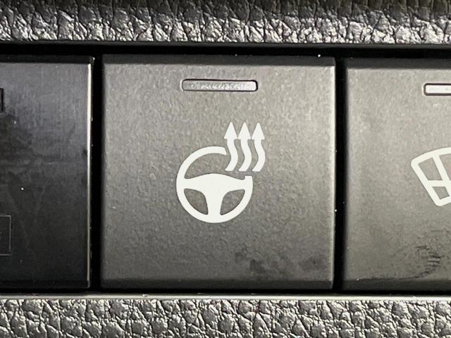 ＲＡＶ４ ハイブリッドＧ　４ＷＤ　寒冷地仕様　全周囲カメラ　９型ディスプレイオーディオ　衝突被害軽減システム　レーダークルーズ　禁煙車　電動リアゲート　前席シートエアコン　ブラインドスポットモニター　コーナーセンサー（23枚目）