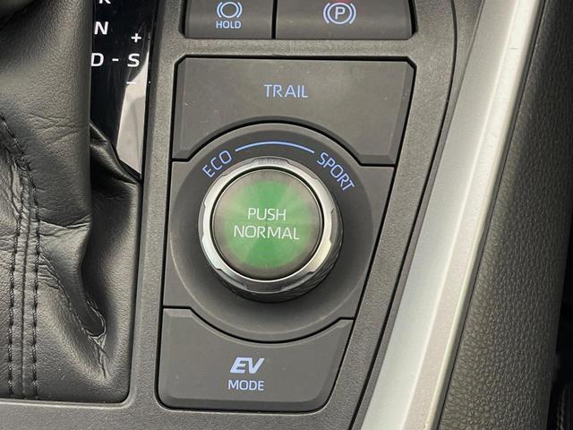 ＲＡＶ４ ハイブリッドＧ　４ＷＤ　寒冷地仕様　全周囲カメラ　９型ディスプレイオーディオ　衝突被害軽減システム　レーダークルーズ　禁煙車　電動リアゲート　前席シートエアコン　ブラインドスポットモニター　コーナーセンサー（43枚目）