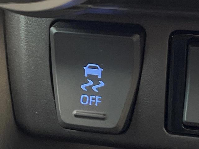 ＲＡＶ４ ハイブリッドＧ　４ＷＤ　寒冷地仕様　全周囲カメラ　９型ディスプレイオーディオ　衝突被害軽減システム　レーダークルーズ　禁煙車　電動リアゲート　前席シートエアコン　ブラインドスポットモニター　コーナーセンサー（57枚目）