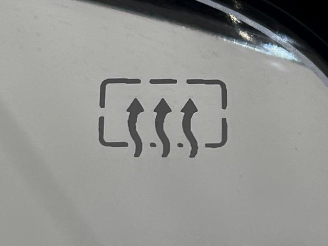 エクストレイル ２０Ｘ　４ＷＤ　フリップダウンモニター　パワーバックドア　シートヒーター　ＬＥＤヘッドライト　純正ナビ　禁煙車　バックカメラ　左右独立オートエアコン　ＥＴＣ　フルセグ　オートライト　ＣＤ／ＤＶＤ（35枚目）