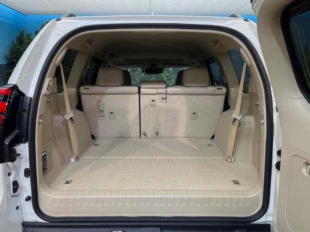 ランドクルーザープラド ＴＸ　Ｌパッケージ　サンルーフ　寒冷地仕様　７人乗り　ＴＲＤエアロ　純正９型ディスプレイオーディオ　全周囲カメラ　ルーフレール　デジタルインナーミラー　ブラインドスポットモニター　純正１９インチアルミホイール　ＥＴＣ（12枚目）