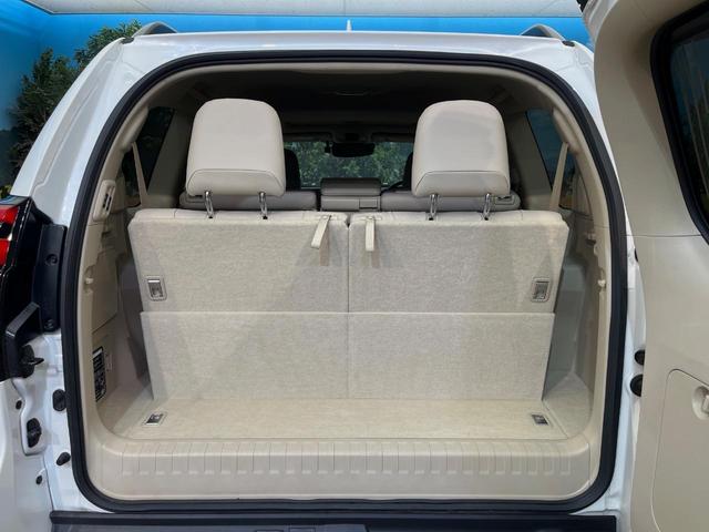 ランドクルーザープラド ＴＸ　Ｌパッケージ　サンルーフ　寒冷地仕様　７人乗り　ＴＲＤエアロ　純正９型ディスプレイオーディオ　全周囲カメラ　ルーフレール　デジタルインナーミラー　ブラインドスポットモニター　純正１９インチアルミホイール　ＥＴＣ（45枚目）