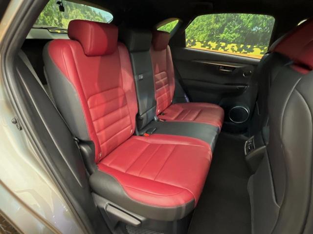 �㕔���Ȃ��C�ɂȂ�悤�ȃL�Y�E�����ւ��蓙�A�傫�ȃ_���[�W�͂Ȃ��A�ǍD�ȏ�Ԃł��B