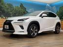 ＮＸ３００ｈ　Ｉパッケージ　４ＷＤ　モデリスタフルエアロ　１０．３インチワイドナビ　全周囲カメラ　衝突被害軽減システム　シートヒーター　レーダークルーズ　禁煙車　電動リアゲート　レザーシート　コーナーセンサー　ＥＴＣ（55枚目）
