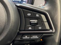 ������®�ɽ���ǽ�ե��롼������ȥ�����۹�®ƻϩ�Ǥ�Ĺ��Υ���Ԥ��ڤˡ�����ư��®�٤��ݤĥ��롼������ȥ����뤬�����ͷڸ������ƥ��Ϣ�Ȥ��������μ�ξ���Τ��Ƽִ֤��ݤĤ褦��®��Ĵ�ᤷ�Ƥ���ޤ����� 6