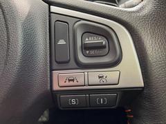 ������®�ɽ���ǽ�ե��롼������ȥ�����۹�®ƻϩ�Ǥ�Ĺ��Υ���Ԥ��ڤˡ�����ư��®�٤��ݤĥ��롼������ȥ����뤬�����ͷڸ������ƥ��Ϣ�Ȥ��������μ�ξ���Τ��Ƽִ֤��ݤĤ褦��®��Ĵ�ᤷ�Ƥ���ޤ����� 6