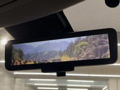 �ڥ���ƥꥸ����ȥ롼��ߥ顼�۸��ʤ��礭�ʲ�ʪ��Ʊ��ԤǸ�������ǧ���Ť餤���Ǥ�¿�������餬���Ƥ�����ξ�����α�����롼��ߥ顼���ɽ�������ꥢ�ʻ볦�Ǿ����γ�ǧ����ǽ�Ǥ��� 5