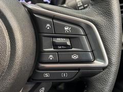 ������®�ɽ���ǽ�ե��롼������ȥ�����۹�®ƻϩ�Ǥ�Ĺ��Υ���Ԥ��ڤˡ�����ư��®�٤��ݤĥ��롼������ȥ����뤬�����ͷڸ������ƥ��Ϣ�Ȥ��������μ�ξ���Τ��Ƽִ֤��ݤĤ褦��®��Ĵ�ᤷ�Ƥ���ޤ����� 5