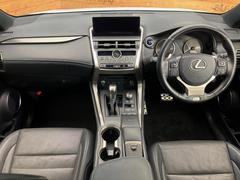 ���롼�����߸˿��󣳣����������桪������η���Ź����᡼�������ּ���鷺���Ҳ�����Τǡ����ʤ��˥ԥå���Τ��֤����Ĥ���Ϥ��Ǥ����ޤ��Ϥ��䤤��碌�������� 2