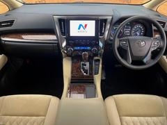 ���롼�����߸˿��󣳣����������桪������η���Ź����᡼�������ּ���鷺���Ҳ�����Τǡ����ʤ��˥ԥå���Τ��֤����Ĥ���Ϥ��Ǥ����ޤ��Ϥ��䤤��碌�������� 2