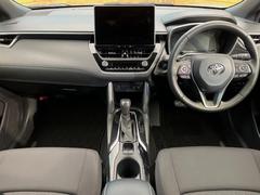 ���롼�����߸˿��󣳣����������桪������η���Ź����᡼�������ּ���鷺���Ҳ�����Τǡ����ʤ��˥ԥå���Τ��֤����Ĥ���Ϥ��Ǥ����ޤ��Ϥ��䤤��碌�������� 2