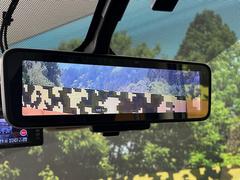 �ڥ���ƥꥸ����ȥ롼��ߥ顼�۸��ʤ��礭�ʲ�ʪ��Ʊ��ԤǸ�������ǧ���Ť餤���Ǥ�¿�������餬���Ƥ�����ξ�����α�����롼��ߥ顼���ɽ�������ꥢ�ʻ볦�Ǿ����γ�ǧ����ǽ�Ǥ��� 7