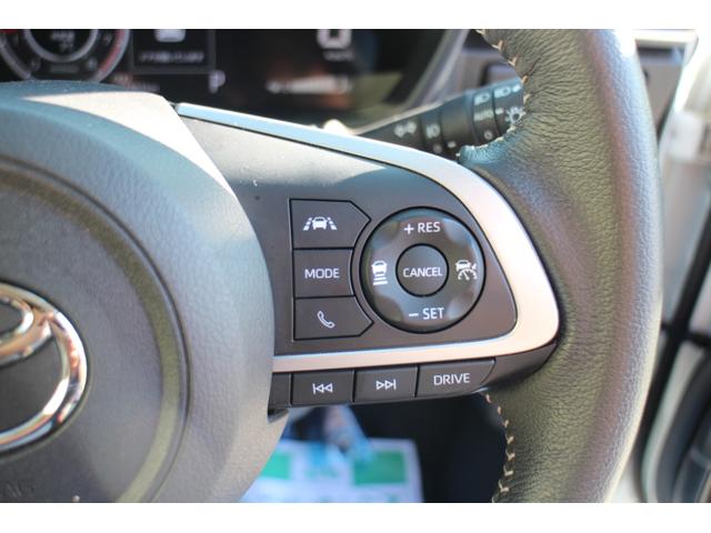 ライズ Ｚ　４ＷＤ　ナビ　バックカメラ　シートヒーター　ドライブレコーダー　プッシュスタート（19枚目）